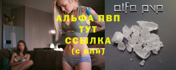 амф Медногорск