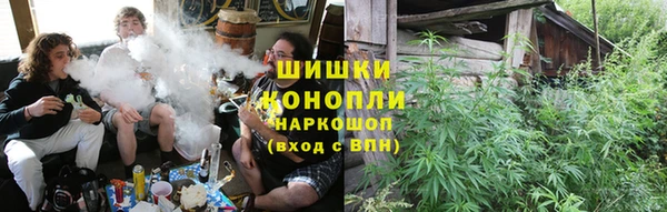 крисы Медвежьегорск